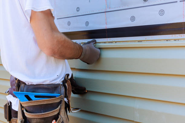Affordable Vinyl Siding solutions in Louviers, CO